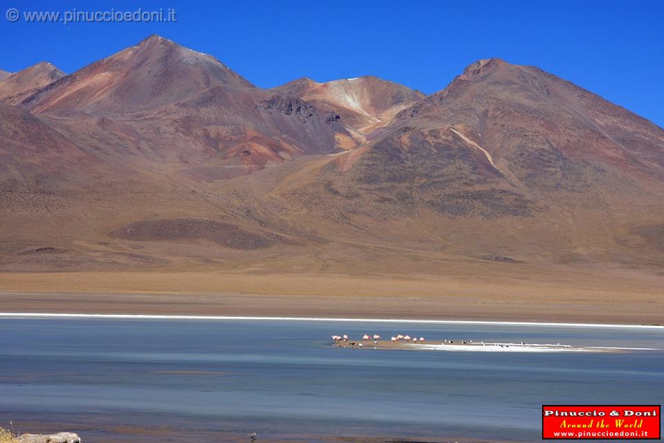 BOLIVIA 2 - Ruta de Las Joyas - Laguna Kanapa - 41.jpg